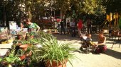 fira intercanvi plantes