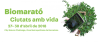 Imatge de complement