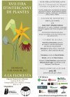 cartell Fira de plantes XVII