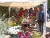 Taller de Rams amb pots reciclats, flors i altres herbes del jardí. A càrrec d'Araceli Quinto (Floristeria Blooms) 